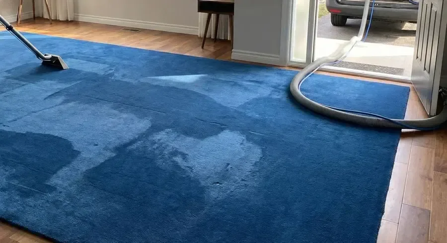 An extraction wand draws water from a wet blue area rug during cleanup