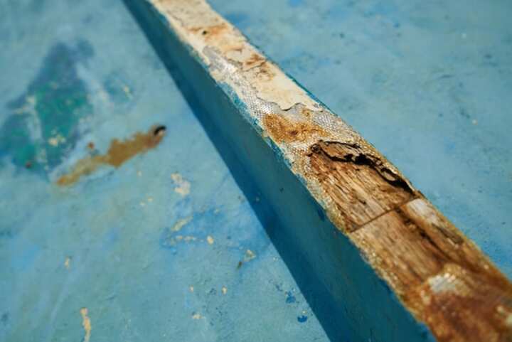 Expert Water Extraction and Drying Services in King of Prussia